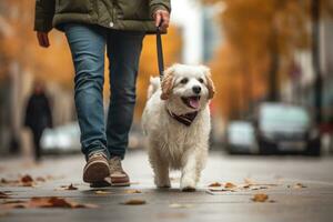 chien en marchant avec méconnaissable propriétaire dans ville rue passage clouté, ai généré photo
