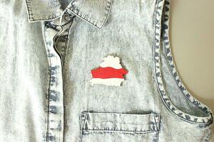 silhouette de pays Biélorussie, blanc rouge blanc nationale drapeau mensonge sur jeans. symbole de manifestation. aimer, paix, liberté, indépendance. image pour livre, brochure, brochure, affiche, bannière, impression photo