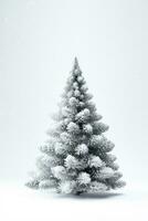 couvert de neige sapin arbre sur blanc Contexte avec espace pour texte photo