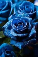 une captivant afficher de magnifique bleu Rose fleurs - ai généré photo