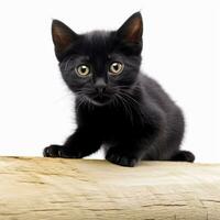 une noir chaton séance sur Haut de une en bois Journal génératif ai photo