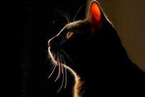 une noir chat est silhouette contre une foncé Contexte génératif ai photo