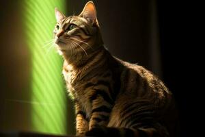 une chat séance dans de face de une vert lumière génératif ai photo