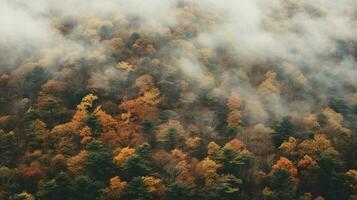 génératif ai, brumeux l'automne sapin forêt magnifique paysage dans branché ancien rétro style, brumeux montagnes et des arbres. photo