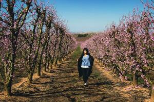 femme en marchant par des champs de floraison pêche des arbres dans printemps. photo