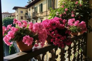 magnifique des pots avec fleurs. photo