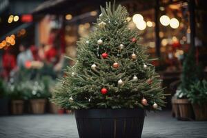 européen Noël les marchés, achat Noël des arbres de marché photo