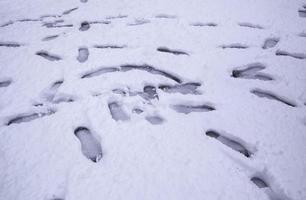 empreintes de pas dans la neige photo