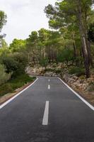 route entre les arbres. piste cyclable de Majorque photo