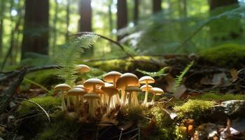 ai génératif sauvage champignons croissance dans une forêt photo