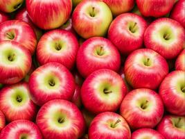 croustillant rouge Pomme une Frais studio coup mettant en valeur le beauté, génératif ai photo