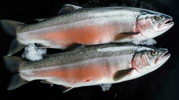 une Frais Saumon poisson sur glace. Saumon poisson. génératif ai photo