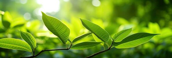 vert feuilles, Naturel vert feuilles les plantes en utilisant comme printemps Contexte couverture page verdure environnement écologie fond d'écran. génératif ai. photo