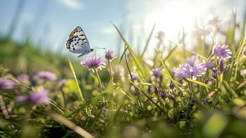 violet papillon sur sauvage blanc violet fleurs dans herbe dans des rayons de lumière du soleil. papillon. génératif ai photo