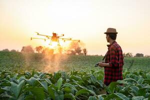 agriculture drone voler, Les agriculteurs mouche drones à vaporisateur hormonale les engrais dans le tabac des champs photo