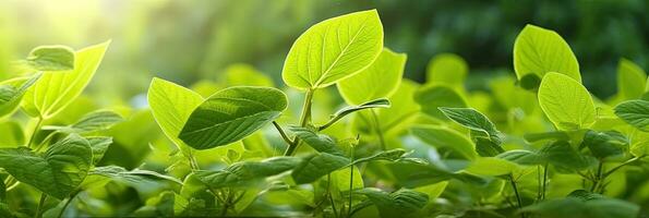 vert feuilles, Naturel vert feuilles les plantes en utilisant comme printemps Contexte couverture page verdure environnement écologie fond d'écran. génératif ai. photo