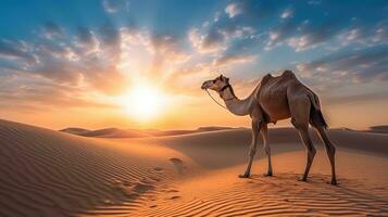 une chameau dans le désert Dubai, uni arabe émirats, magnifique ciel à lever du soleil. génératif ai photo