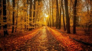l'automne forêt paysage avec route de tomber feuilles, chaud lumière éclairant le or feuillage. sentier dans scène l'automne forêt la nature. génératif ai photo