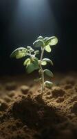 ai génératif petit cantaloup germer plante croissance photo