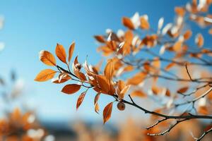 tranquille l'automne scène, arbre feuilles contre le toile de fond de une bleu ciel ai généré photo