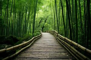 la nature bambou chemin. Japon forêt art photo