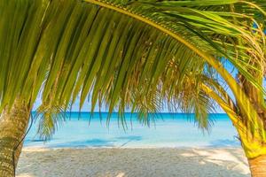 belle plage tropicale et mer photo