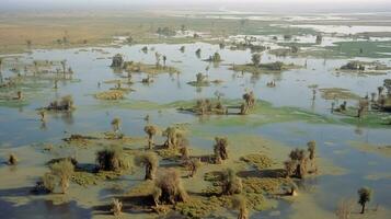 mésopotamien les marais, écotourisme dans la nature unesco fondation. ai généré. photo