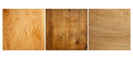 surface contre-plaqué bois texture grain photo