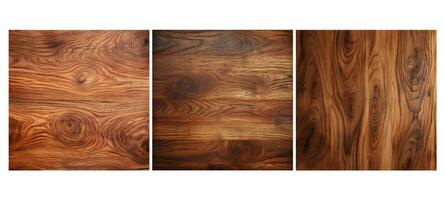 Naturel noix de pécan bois texture grain photo