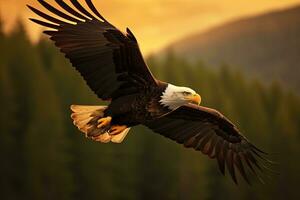 américain chauve Aigle en volant dans le des nuages à le coucher du soleil. Aigle. génératif ai photo