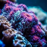 fermer de un sous-marin corail récif génératif ai photo
