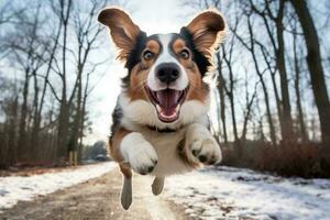 une chien sauter dans le air avec ses bouche ouvert génératif ai photo