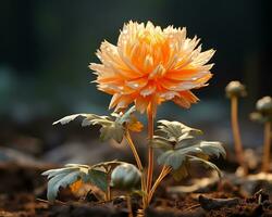 une Célibataire Orange fleur est croissance en dehors de le sol génératif ai photo