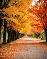 un vide route doublé avec Orange et Jaune feuilles génératif ai photo