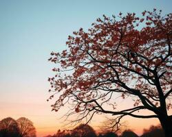 un image de une arbre avec rouge feuilles à le coucher du soleil génératif ai photo
