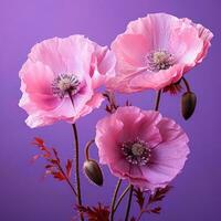 Trois rose coquelicots sur une violet Contexte génératif ai photo