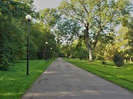 Chemin à travers le parc kadriorg tallinn estonie photo