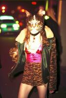 araffé chat dans une léopard impression robe et cuir veste. génératif ai. photo