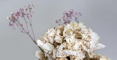 un bouquet de fleurs fanées séchées photo