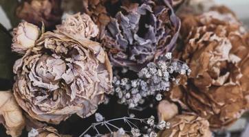 un bouquet de fleurs fanées séchées photo