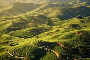 café plantations de Sud Amérique avec une horizon avec montagnes dans le Contexte ,génératif ai photo