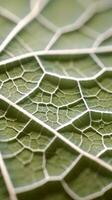 une micro vert feuille Contexte photo