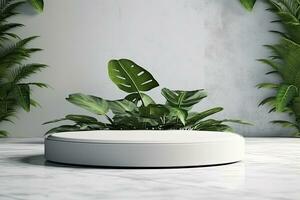 blanc rond podium avec une plante dans il et une blanc vase avec une vert plante photo