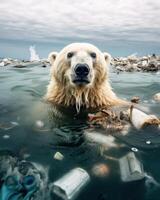 polaire ours entouré par des ordures dans le Arctique photo