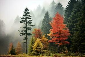 brumeux forêt pendant l'automne avec grand des arbres et multicolore feuilles, fournir ample copie espace ai génératif photo