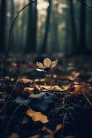 le feuilles repos sur mon crâne le herbe croissance entre os, ai généré photo