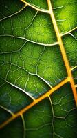 une micro vert feuille Contexte photo