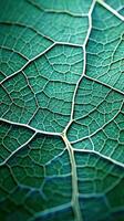 une micro vert feuille Contexte photo