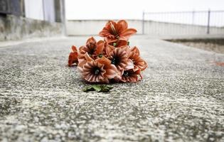 couronne de roses rouges photo