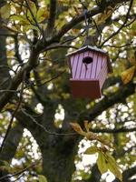 maison d'oiseau en bois photo